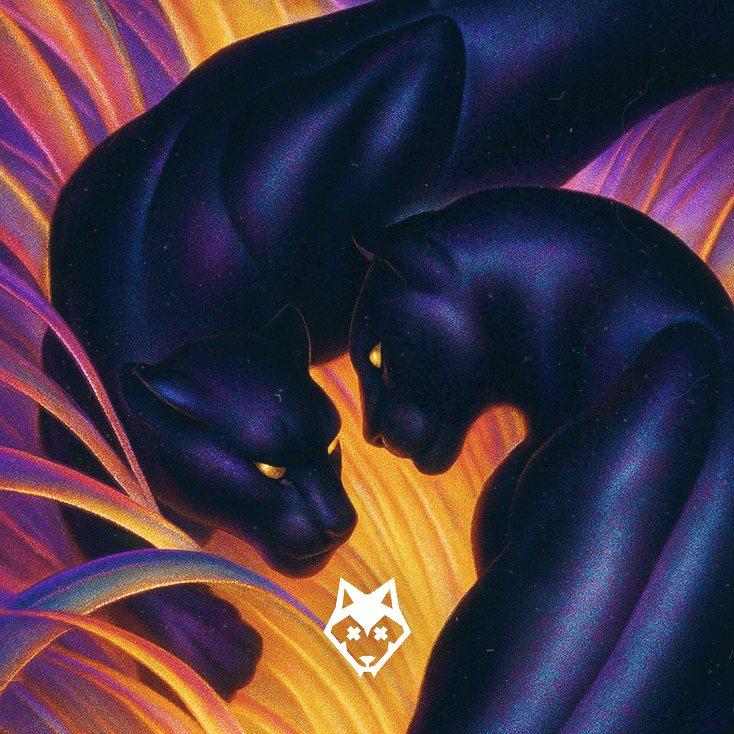砰砰(放克,拉丁)