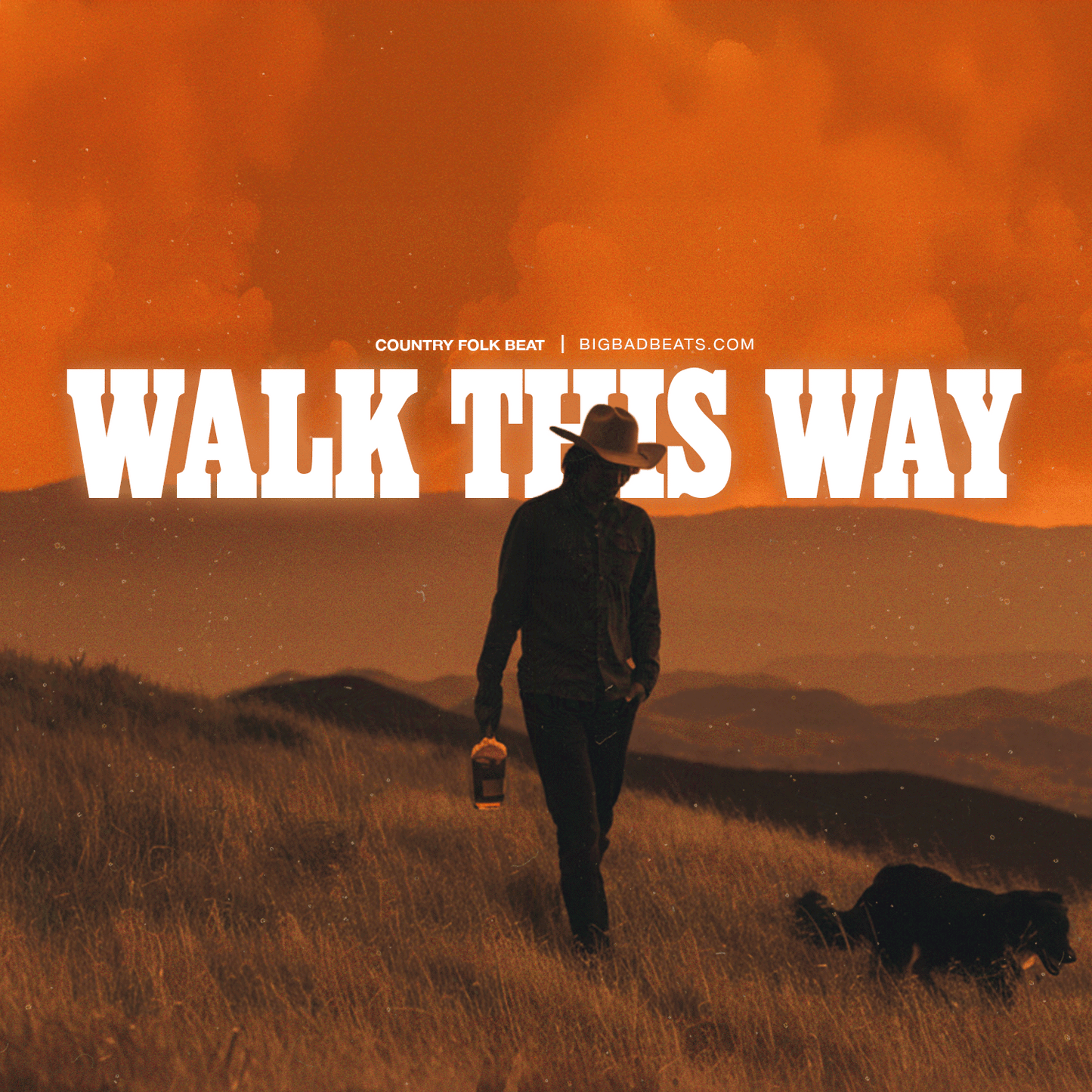 Walk This Way (乡村、流行、Post Malone)