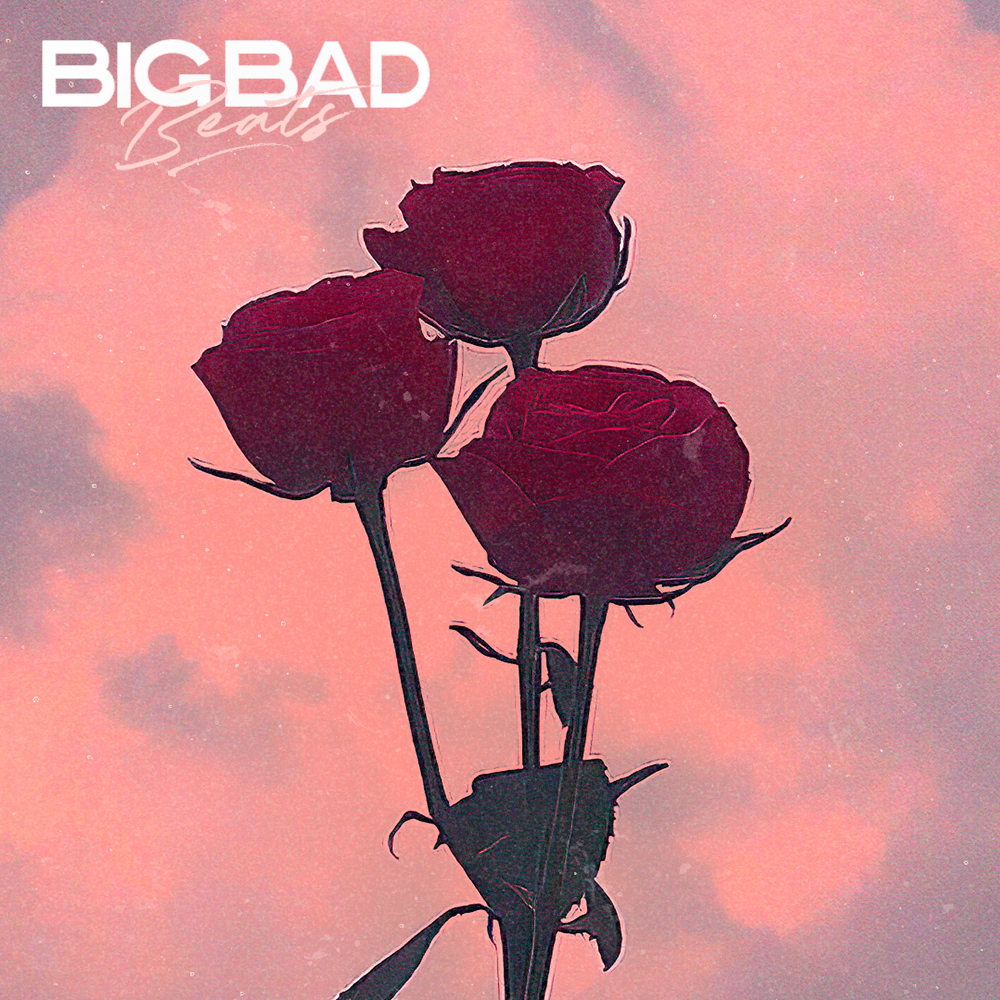 Acoustic guitar with no drums, representing the 'Bummer' beat from BigBadBeats.
