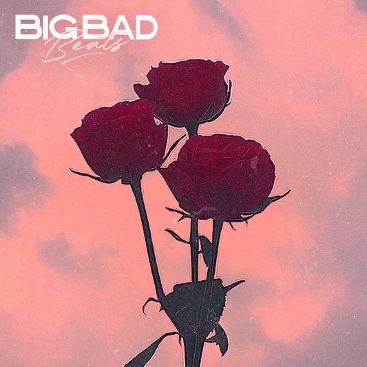 Acoustic guitar with no drums, representing the 'Bummer' beat from BigBadBeats.