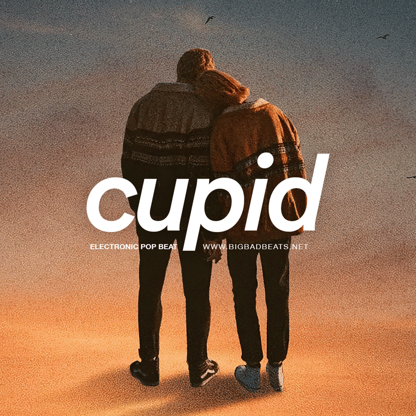 Cupid (Synth Pop, Justin Bieber)