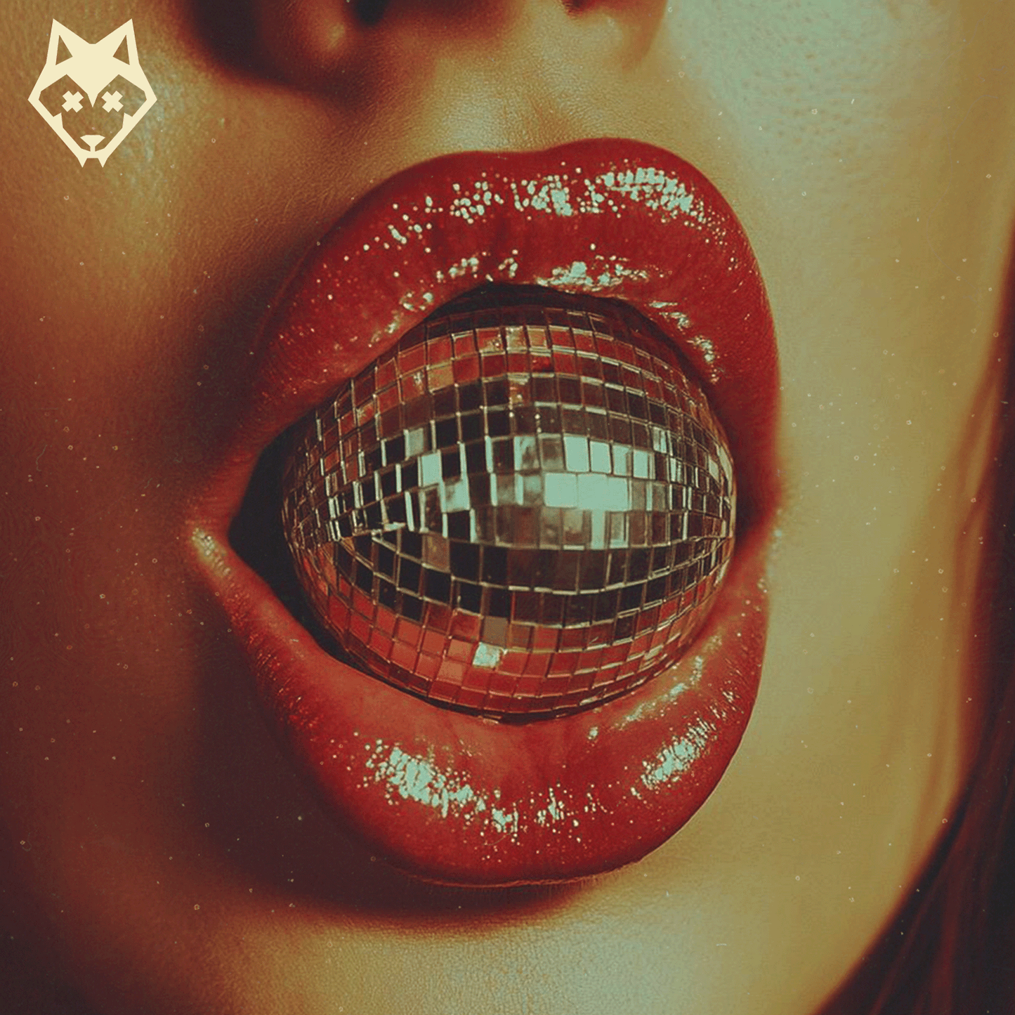 Playback (Funk, Disco, Guitar)